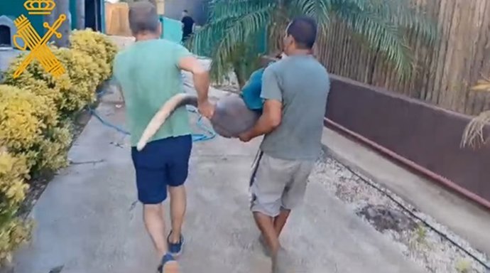 Vídeo de la noticia