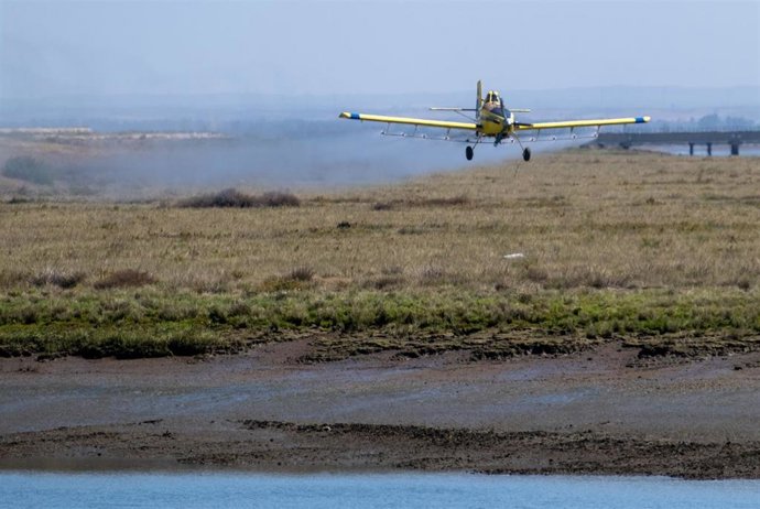 Tareas de control de mosquitos en marismas del litoral de Huelva.
