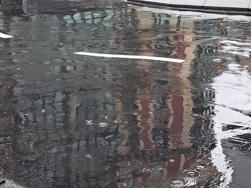 Charco de agua
