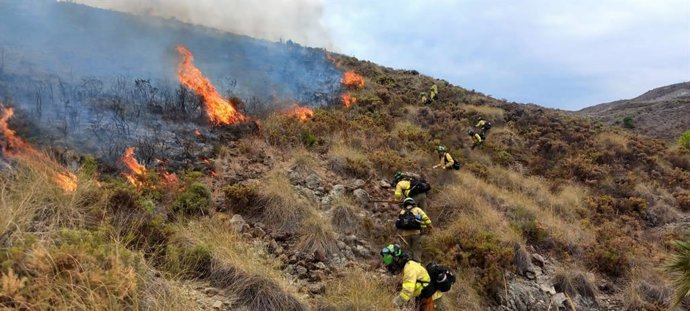 Incendio forestal en el paraje Montemayor de Benahavís