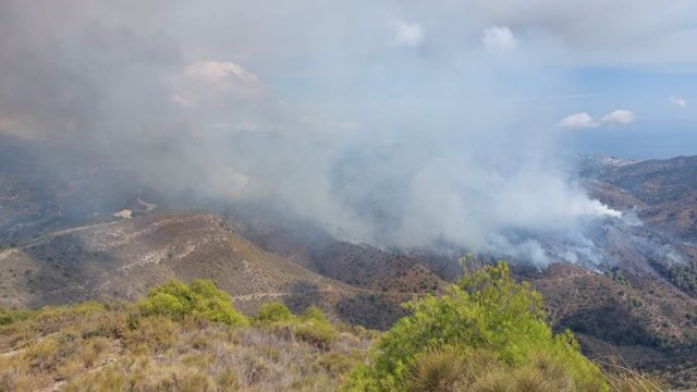 Incendio forestal declarado en término de Almuñécar (Foto de archivo).