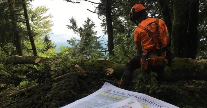 La obtención del Carnet Europeo de Motoserrista también se seguirá ofertando