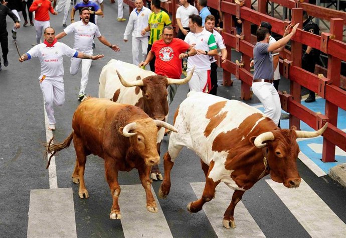Último de los encierros de las Fiestas del Santísimo Cristo de los Remedios de San Sebastián de los Reyes.