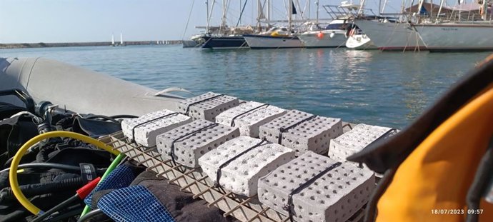 Ocean Ecostructures crea un biomaterial innovador para regenerar los ecosistemas marinos