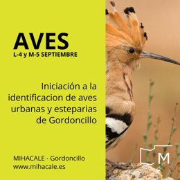El Mihacale de Gordoncillo (León) ofrece este lunes un taller de iniciación a la identificación de diversas aves