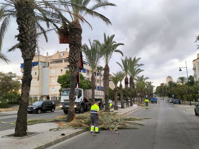 El Ayuntamiento de Torremolinos realiza más de 1.500 actuaciones de servicios operativos y parques desde junio.