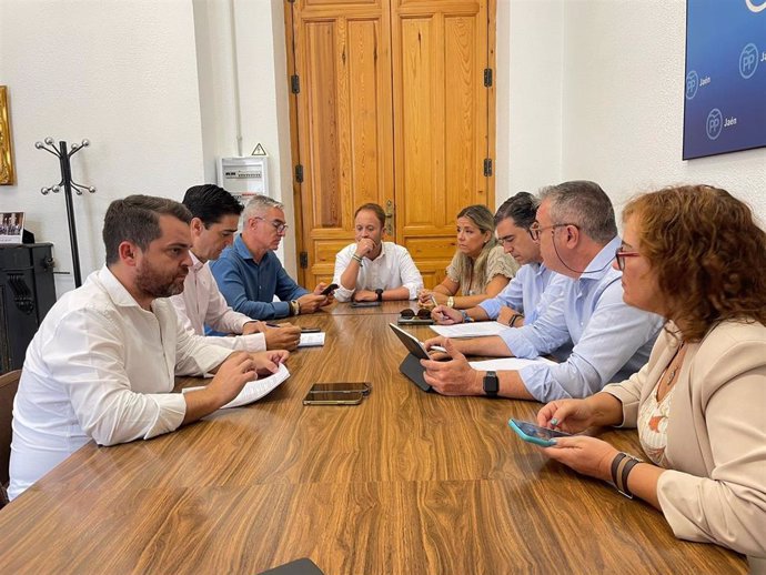 Reunión del grupo del PP en la Diputación.