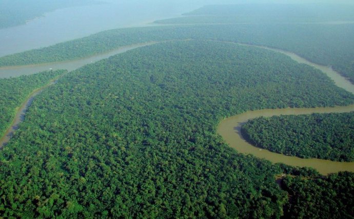 Selva amazónica