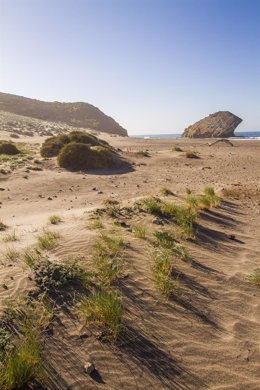 Archivo - Playa de Mónsul, en el Parque Natural de Cabo de Gata-Níjar (Almería).