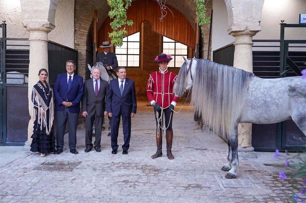 Visita a las Caballerizas Reales para el espectáculo Córdoba Ecuestre