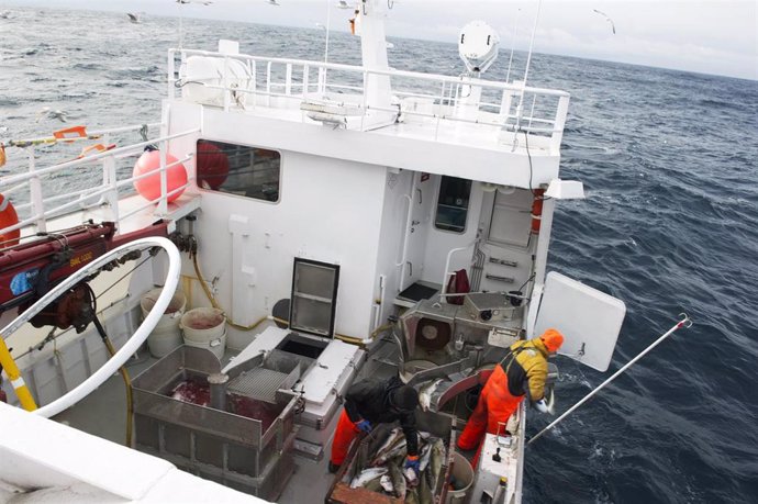 Archivo - Pescadores en el Mar de Noruega.