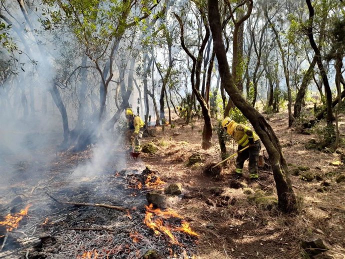 Incendio forestal de Tenerife