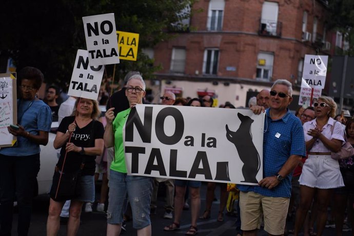 Archivo - Decenas de personas durante una manifestación contra la tala de árboles en Arganzuela, en Madrid (España). 