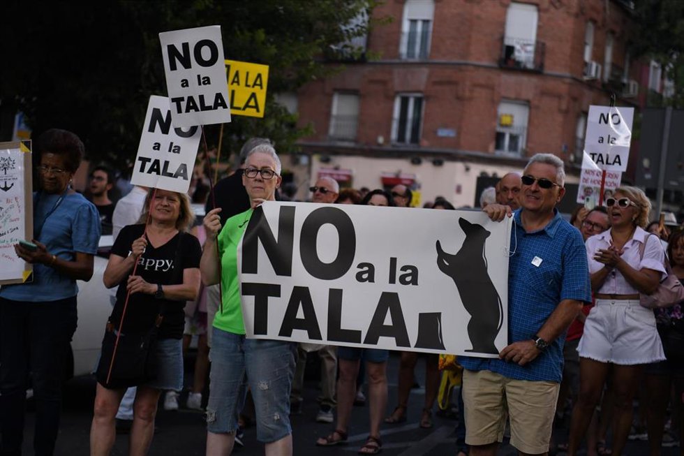 Archivo - Decenas de personas durante una manifestación contra la tala de árboles en Arganzuela, en Madrid (España). 