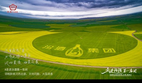 Comunicados Internacional