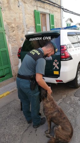 Un agente de la Guardia Civil, con uno de los perros.