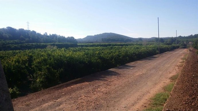 Archivo - El juzgado desestima la demanda de 25 millones del Valencia CF contra Riba-roja por Porxinos