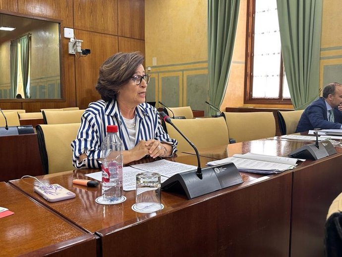 La parlamentaria andaluza del PP de Jaén Lola Martín.