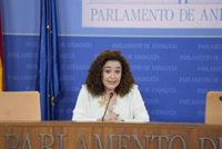 Por Andalucía cree que la Junta "no está a la altura" para el "papel fundamental" que debe jugar Andalucía en España