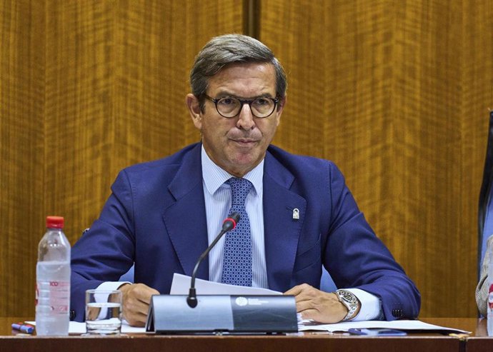 El consejero de Industria, Energía y Minas, Jorge Paradela, en comisión parlamentaria