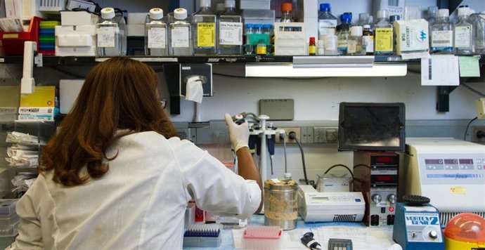 España y Alemania lanzan la primera convocatoria bilateral entre AEI y DFG para proyectos de investigación