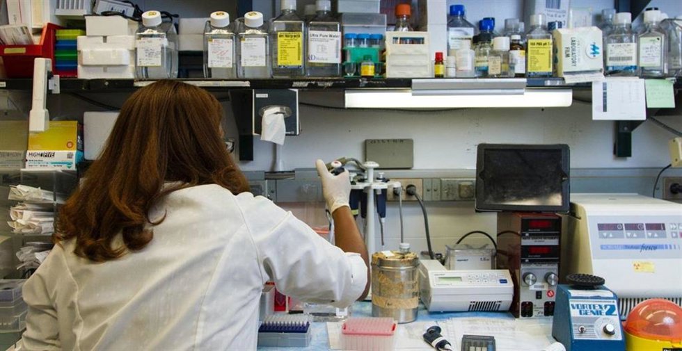 España y Alemania lanzan la primera convocatoria bilateral entre AEI y DFG para proyectos de investigación