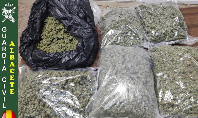 Marihuana aprehendida por la Guardia Civil de Albacete