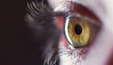 Foto: Descubren el vínculo entre el colesterol y la retinopatía diabética