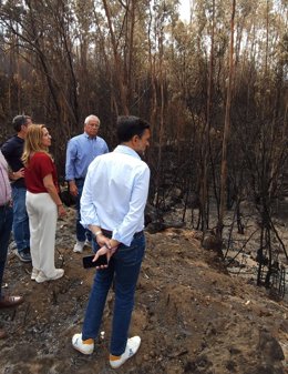 Visita a una de las zonas afectadas por el incendio de Tenerife