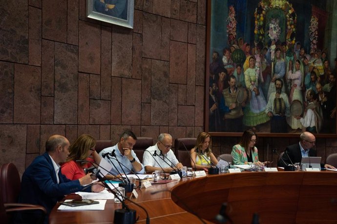 Reunión de la Federación Canaria de Islas celebrada hoy en La Gomera