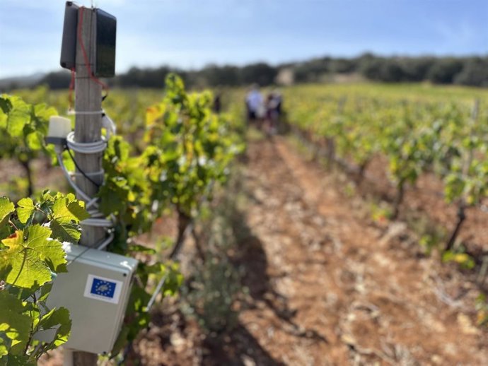 Aplican en un viñedo de Ronda un proyecto europeo que utiliza drones y un robot de exploración para reducir impacto medioambiental.