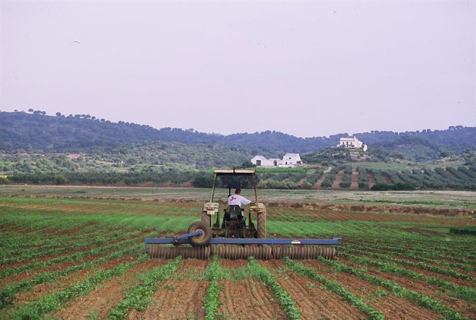 Np: Publicación Del Anuario Estadístico De La Provincia De Sevilla 2023