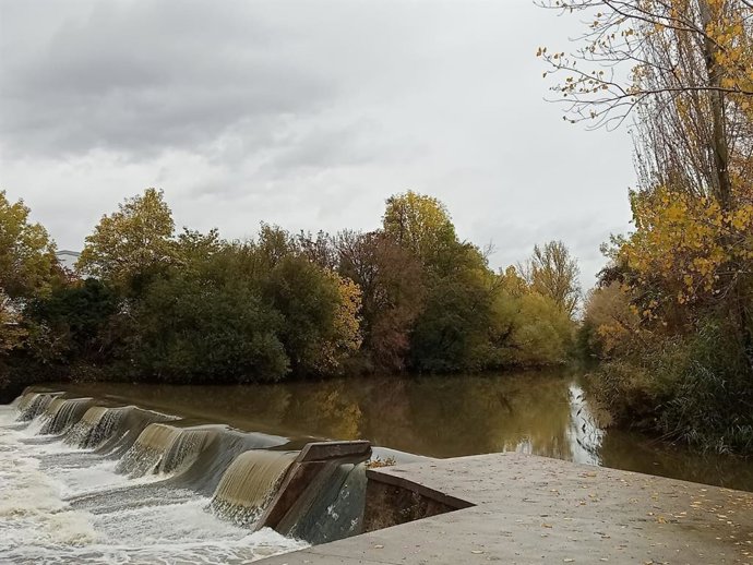 Imagen de un entorno fluvial de Pamplona