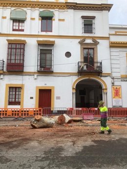 Actuación municipal en la calle Adriano.