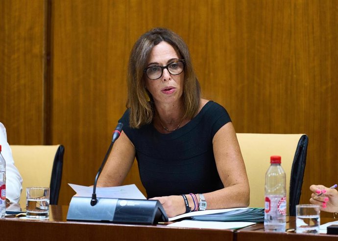 La consejera de Fomento, Articulación del Territorio y Vivienda de la Junta de Andalucía, Rocío Díaz, en una comparecencia en comisión parlamentaria.