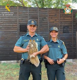 Los agentes con el búho real