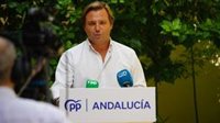 PP-A pide unidad de partidos y sociedad en la lucha contra la violencia de género tras balance "escalofriante"