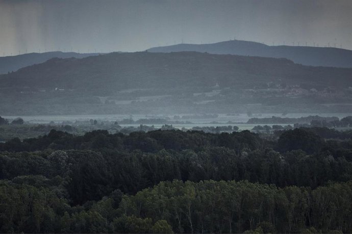 Archivo - Vegetación en la comarca de A Limia, a 6 de junio de 2023, en A Limia, Ourense, Galicia (España). Las comarcas de Monterrei, O Ribeiro y A Limia son las más afectadas por el granizo y la lluvia. Las fuertes tormentas que se han registrado en l