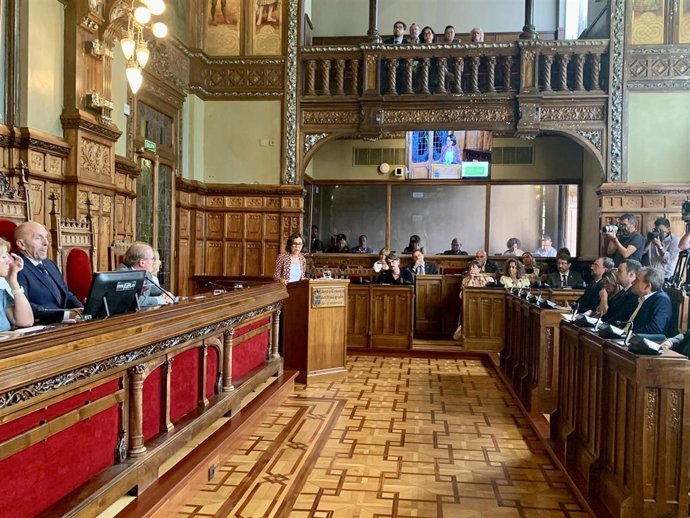 Pleno Institucional Día de Asturias