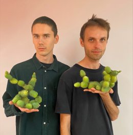 El colectivo ruso Flowgardenz.