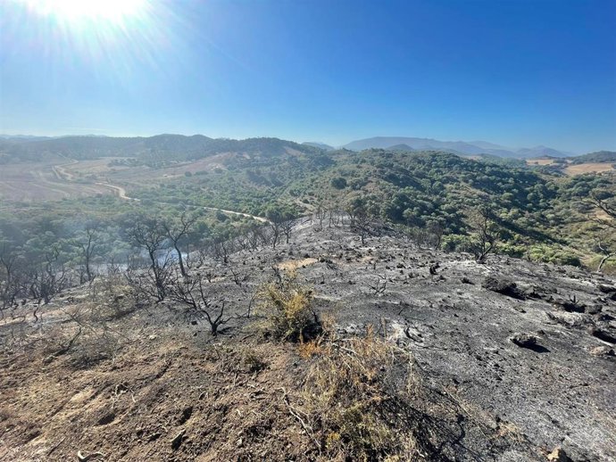 Infoca da por controlado el incendio declarado en un paraje de Puerto Serrano