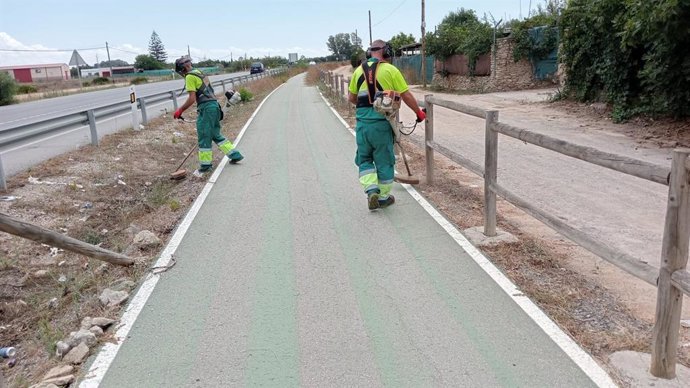 Trabajos en el carril bici de la A-491 en Rota.