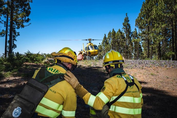 Agentes forestales en el incendio de Tenerife