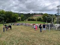 Hazas de Cesto suspende la feria ganadera de 'San Ciprianuco' siguiendo la recomendación del Gobierno