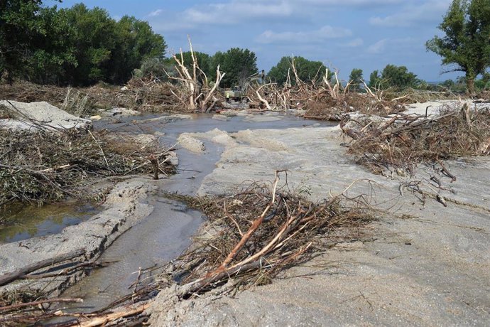 Ramas de los árboles tras el paso de La DANA, durante el dispositivo de búsqueda de los desaparecidos por las lluvias de La Dana, a 8 de septiembre de 2023, en Villamanta (Madrid). 