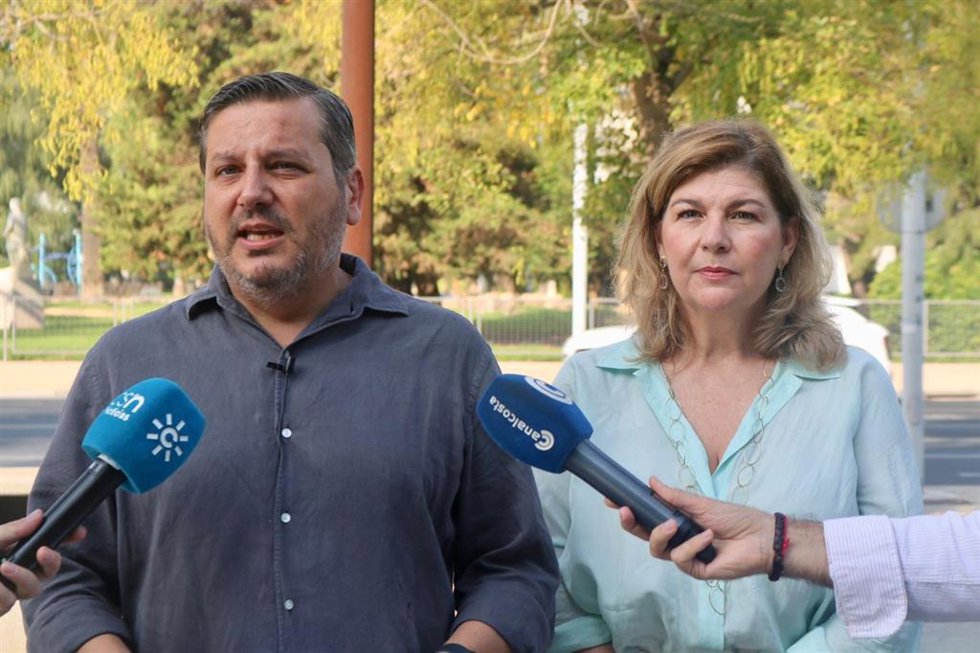 El vicesecretario de Organización del PP andaluz, Alejandro Romero, este sábado