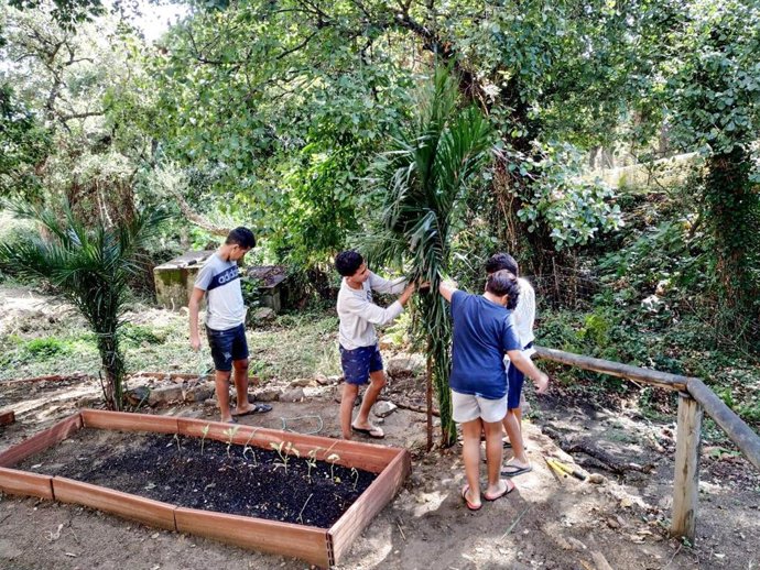 Proyecto de la Junta de Andalucía para reforzar el sistema de protección de menores migrantes no acompañados