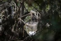 Un centenar de operarios y 50 vehículos de maquinaria pesada trabajan en la limpieza de Aldea del Fresno y Villamanta