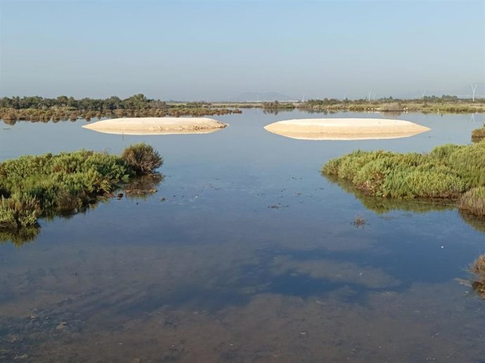 Las dos nuevas isletas de cría y descanso de aves acuáticas en el Parque Natural de s'Albufera