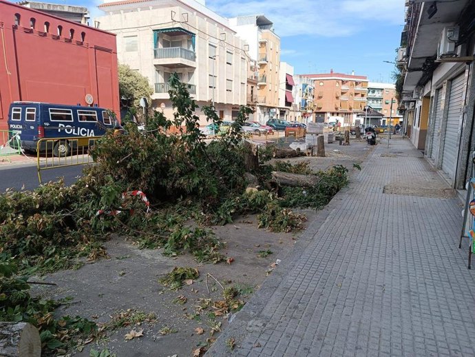 Tala de árboles en Córdoba